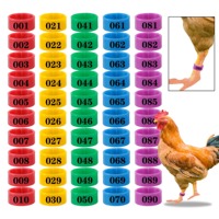 Bagues de patte rondes en plastique personnalisables, écologiques et très résistantes, à ouverture facile, pour pigeons, poulets, canards, oies
