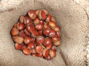 <span class=keywords><strong>Prix</strong></span> de gros de haute qualité bonne qualité <span class=keywords><strong>châtaigne</strong></span> chinoise fraîche - Product Image 3