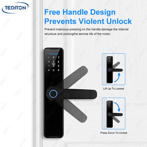 Tediton Großhandelspreis Intelligentes Schloss WLAN-App Fingerabdruck Fechadura Electronica Digital Schlüsselloses Tuya Smart Lock - Product Image 4