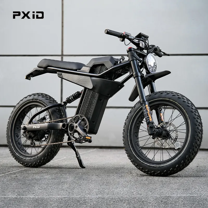 PXID MANTIS P6 Electric 20 Inch Fat Wheel E Bike 750W 1000W 1500W 48V Adult Electric Bike For Men