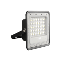 Projecteur LED Solaire Personnalisable OEM-ODM 100W-300W 3000K/4500K/6500K avec Télécommande, Étanche IP65, Certifié RoHS pour Jardin