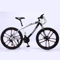 Vélo de montagne à cadre intégré super résistant, personnalisable, 29 pouces
