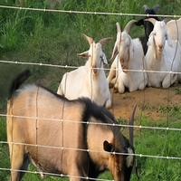 Panneaux de clôture à nœuds fixes pour les fermes d'élevage de bovins et de cerfs