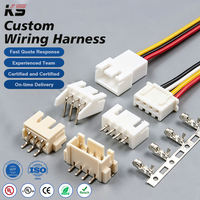Kabel Harness Konektor Terminal JST SH GH ZH PH XH Molex Dupont SUR untuk Sepeda Motor dan Mobil, Pitch 0.8-2.54mm, 1-40 Pin