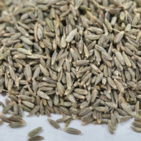 Cumin cru séché de qualité supérieure, graines et poudre de cumin naturel, épice aromatique et herbe parfumée très vendue