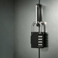 Candado con Combinación y Logotipo Personalizado, Candado de Seguridad de Aleación de Zinc con Código y Contraseña para Gimnasio, Maleta, Mochila, Gabinete, Puerta