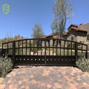 Porte de villa en fonte forgé, design, revêtement en poudre, décoration d'entrée extérieure, jouet - Product Image 4