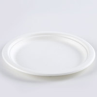 Échantillons gratuits 6 7 8 9 10 12.5 pouces compartiment canne à sucre assiettes en papier biodégradables plat jetable pour la fête d'anniversaire