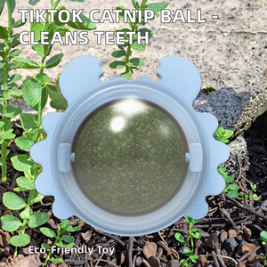 Giocattolo interattivo all'ingrosso della palla del gatto del Silicone del cane del gatto del giocattolo resistente del cane per la pulizia dei denti che masticano ed il gioco divertente - Product Image 2