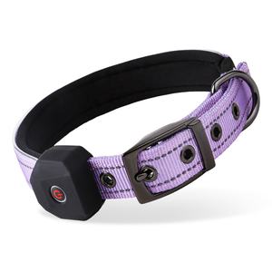 QQPETS Luxury LED Light-Up 3 piezas <span class=keywords><strong>Collar</strong></span> de perro Correa Arnés Set Custom Night Pet Walks Estilo de moda Transpirable Nylon Goma - Product Image 4