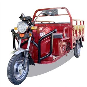 Triciclo Eléctrico con Pantalla LCD de Moda para Bajaj - Product Image 1