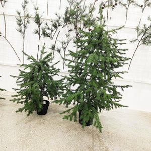 120CM/150CM/180CM Cyprès Artificiel Chauve pour Décorations de Noël Faux Cyprès des Marais Arbre de Noël - Product Image 5