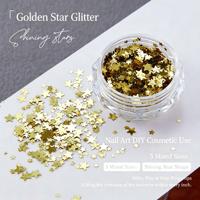 Paillettes a Stella Dorate in PET, Fiocchi Glitterati Olografici per Nail Art, Artigianato in Silicone, Decorazione Fai-da-Te per Tumbler in Resina Epossidica