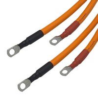 Faisceau de câblage haute tension pour VE, assemblage de câbles de batterie étanches à 2 broches avec bornes annulaires pour véhicule électrique personnalisé