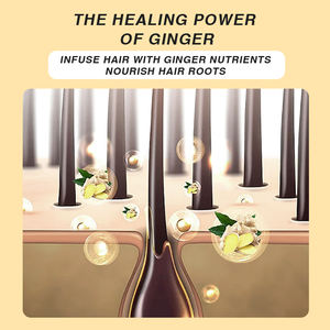 Private Label <strong>Wholesale</strong> Anti Hair Loss Organic Plant Extract Ginger Hair Shampoo and Conditioner Set for Hair - Product Image 5