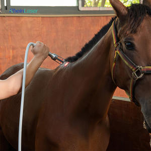 เครื่องเลเซอร์บำบัด10W/15W/20W/30W สำหรับบรรเทาโรคข้ออักเสบของสุนัข980nm 810nm แบบพกพา - Product Image 6