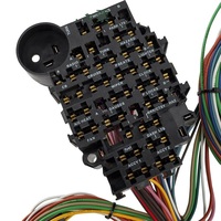 Arnés de Cables Universal de 22 Circuitos con Conector GM para Columna de Dirección, Cables de Cobre GXL Codificados por Colores para Autos Clásicos, Hot Rods y Camionetas