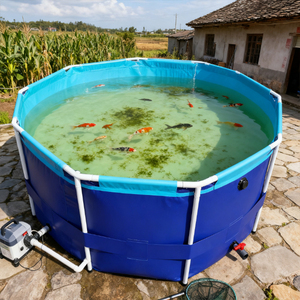 <span class=keywords><strong>Bassin</strong></span> d'aquaculture rond en PVC de 1000 L, économique, <span class=keywords><strong>pour</strong></span> l'élevage de poissons rentable, étang à poissons - Product Image 2