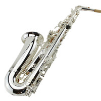Silver Plated Eb Alto Saxophone-Professional Intermediate Instrument with Rich Sound HYM-590 Model OEM Brand
