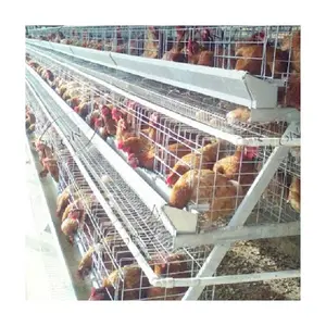 זול מחיר גדול סוללה הנחת כלובי עוף לול עבור 20 תרנגולות