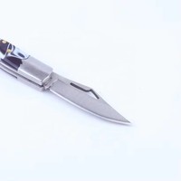Couteau de poche pliable miniature portable en acier inoxydable durable, multifonction, porte-clés, pendentif, camping