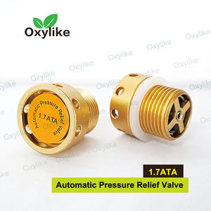 <span class=keywords><strong>HBOT</strong></span>チャンバー高圧酸素装置用自動圧力リリーフバルブ - Product Image 5