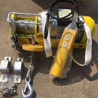 Mini-treuil électrique sans fil 220V avec télécommande, levage par câble, PA200-1000kg, grue domestique compacte multicolore