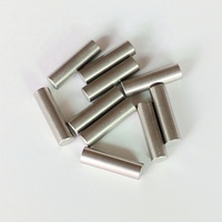 Donlis Wholesale Barres magnétiques de 5 mm en Alnico 2 pour micros de guitare Single Coil ST/TL plats et décalés