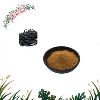 Extrait de thé amer 10:1, poudre d'extrait de thé Kuding de qualité alimentaire, poudre de feuilles végétales pour boisson santé