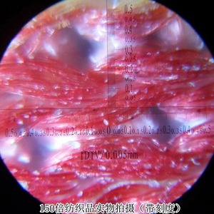 150x Dual-<b>Tube</b> Microscope, Scale Measurement, High-Magnification, <b>LED</b>-Enhanced Professional-Grade High-Definition Magnifying - Product Image 5