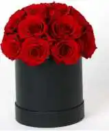Logo personnalisé infini immortel éternel pour toujours stabilisé roses conservées dans une boîte ronde carrée en forme de coeur