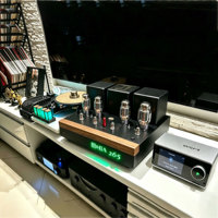 WiiM Ultra Yüksek Güçlü Hi-Fi Amfi, Akış Medya Oynatıcısı, Kayıpsız Müzik Çalar, Ev Ses Dekoderi