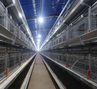 Chaîne de transport pour cages à poulets de type H, ligne d'alimentation par tube, ligne de convoyage galvanisée à chaud