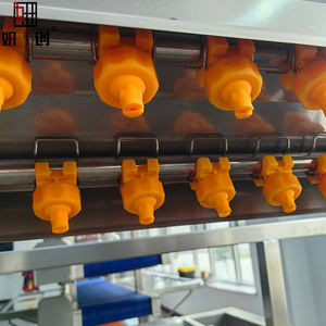 Tam Otomatik Sürekli Su Balık Kabarcık Temizleme Makinesi Sebze Patates ve Havuç Fırçalı Temizleme Yıkama Makinesi - Product Image 4