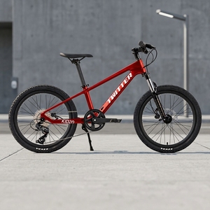 Vélo pour enfants de <span class=keywords><strong>20</strong></span> pouces, directement de l'usine, <span class=keywords><strong>Twitter</strong></span> KID20, vélo pour enfants, vélo de montagne avec cadre en fibre de carbone - Product Image 1