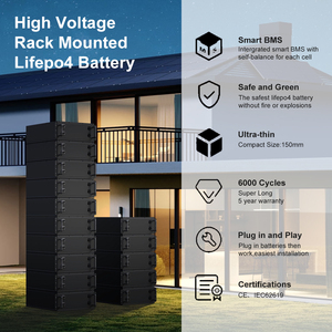 BENY China 5kw 51,2 V 100ah Paquete de batería de almacenamiento de energía solar Fosfato de iones de litio Montado en rack LiFePo4 PUEDE Comunicación Hogar - Product Image 6