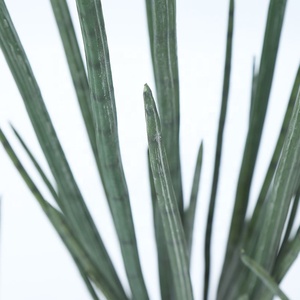 A-3130 <span class=keywords><strong>Planta</strong></span> Artificial de Sansevieria en Maceta de 120 cm, <span class=keywords><strong>Planta</strong></span> de <span class=keywords><strong>Serpiente</strong></span> Artificial de Poliuretano - Product Image 2