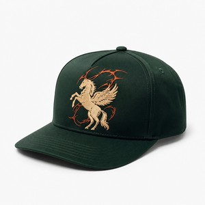 Gorra T&L de Visera Plana, Lona, 5 Paneles, Ajustable, para las Cuatro Estaciones, con Logotipo Personalizado Bordado, Unisex, para Adultos, Informal - Product Image 1