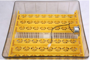 Incubateur <span class=keywords><strong>Janoel</strong></span> 96 certifié CE, capacité 100 œufs de poule, incubateurs à œufs pour 1000 œufs, usage domestique - Product Image 3