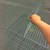 Cage à poulets 70 x 70x70 cm entièrement pliable pour l'élevage de volailles en fil de fer galvanisé