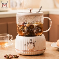 Mini Portable voyage bouilloire électrique température constante boire ébullition bureau chauffage tasse multi-fonction ragoût tasse