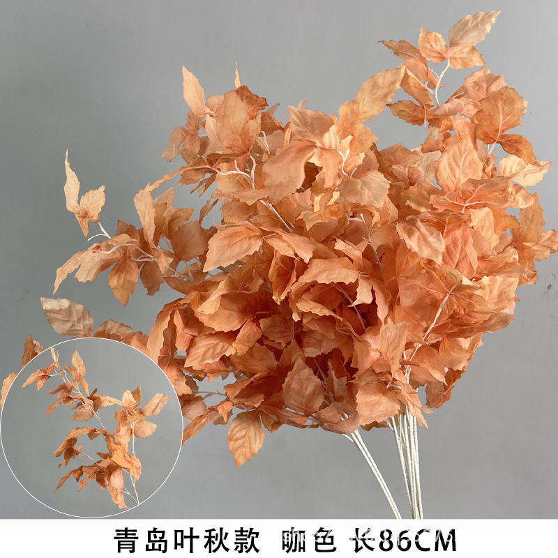 Estilo Qingdao Yeqiu, marrón
