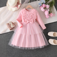 Nouvelle Robe de Princesse pour Filles Été 2026, Couleurs Estivales, Appliqués Mignons, Nœud Papillon Rose 3D, Tulle, Fleurs Rayées, Robe de Cérémonie et de Spectacle