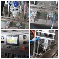 Hoogrenderende Jam Vulmachine Voor Fruit Bewaart De Productie Met Automatisch Jam Vulsysteem