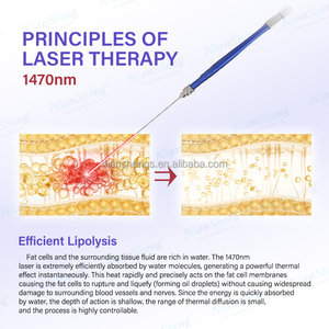 Niansheng Fabricantes Mayoristas, Jabón Ecológico Más Vendido 980 1470 Nm, Uso en Salón, Guangdong, China - Product Image 6