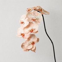 Orchidées papillon en latex de luxe de haute qualité LY, nouveau design, toucher réaliste, orchidée Phalaenopsis réaliste, décoration de Pâques, de mariage et de maison