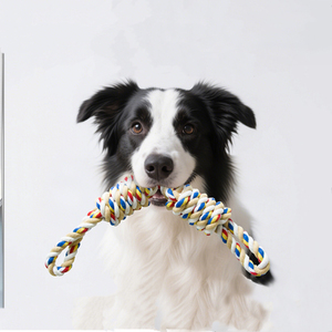 CE sertifikalı köpek diş temizleme halat oyuncak 2 halat knot interaktif Bite dayanıklı köpek oyuncaklar pamuk halat köpek çiğnemek oyuncak köpek için - Product Image 4
