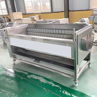 Aardappelwasser, fruit- en groentereiniger, fruit- en groentewasmachine, fruitreiniger, gemberwasmachine