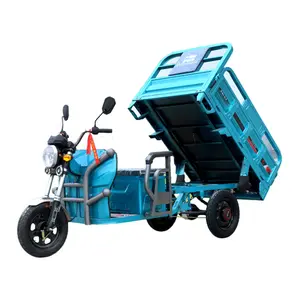 1500W Heavy Loading Electric Delivery Tricycle 3 Wheels Mini Dumper Truck 1Ton Carrying Cargo Motorcycle Electric Cargo Tricycle