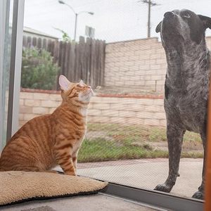 Maille de fenêtre pour chat résistante aux griffures et durable - Product Image 5